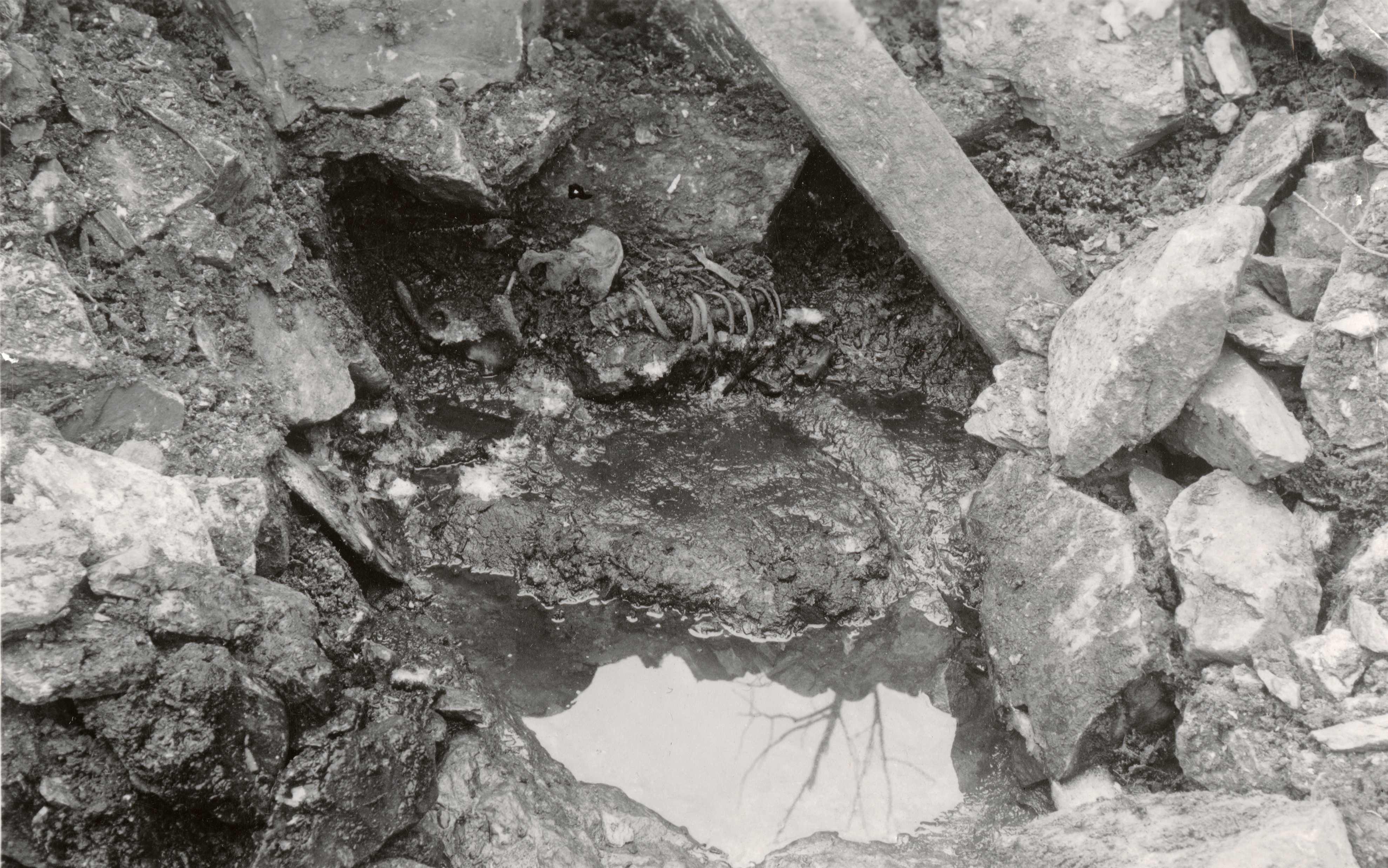 Skelettet som det fremsto i 1938. Foto: Riksantikvaren.