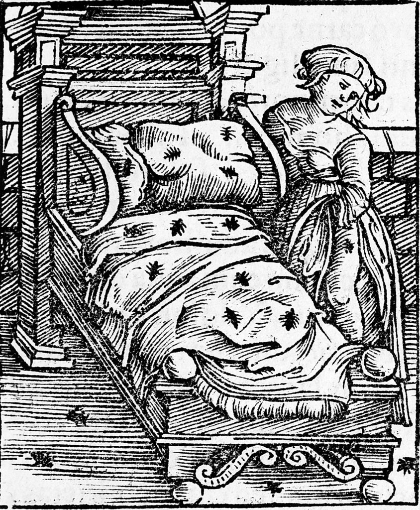 Veggdyr var ikke vanlig i det kalde og våte klimaet her i nordvest-Europa, men man kan se på denne illustrasjonen fra (sted)Tyskland og (tid)på 1500-tallet at de heller ikke lenger sør satte pris på selskapet. Kilde: Hortus Sanitatis (1536)